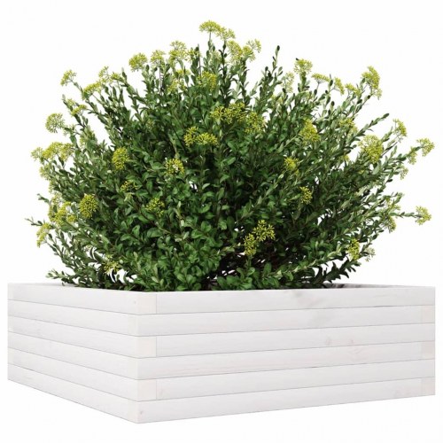 Plantekasse i massivt fyrretræ 70 x 70 x 23 cm - hvid