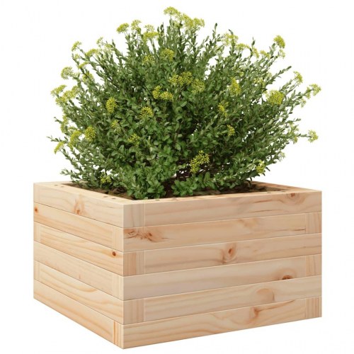 Plantekasse 40 x 40 x 23 cm i massivt fyrretræ