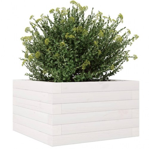 Plantekasse 40 x 40 x 23 cm i massivt fyrretræ - hvid