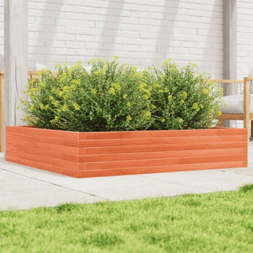 Plantekasse i massivt fyrretræ 110 x 110 x 23 cm - gyldenbrun