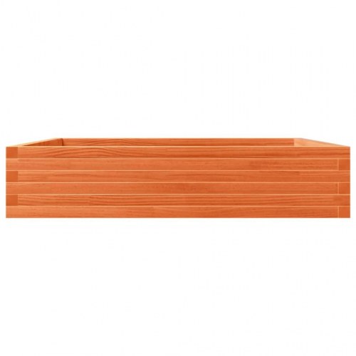 Plantekasse i massivt fyrretræ 110 x 110 x 23 cm - gyldenbrun