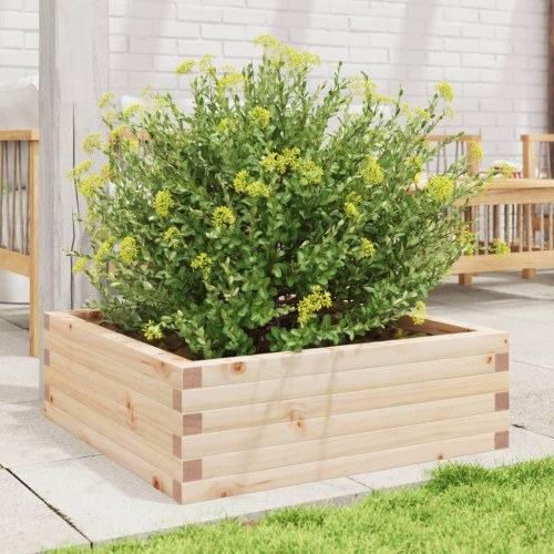 Plantekasse i massivt fyrretræ 70 x 70 x 23 cm