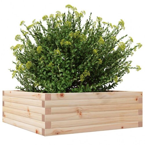 Plantekasse i massivt fyrretræ 70 x 70 x 23 cm