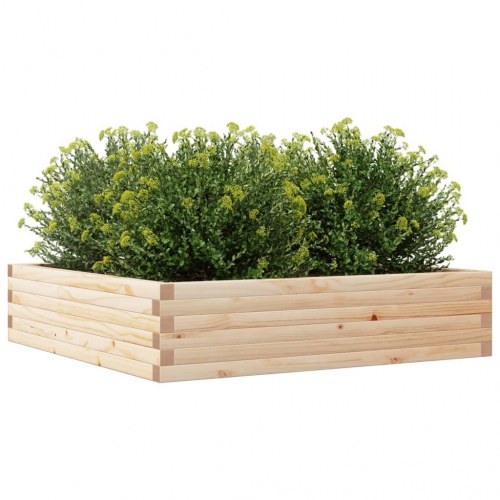 Plantekasse 100x100x23 cm massivt fyrretræ