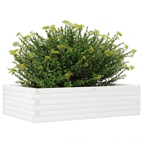 Plantekasse i massivt fyrretræ 90 x 60 x 23 cm - hvid