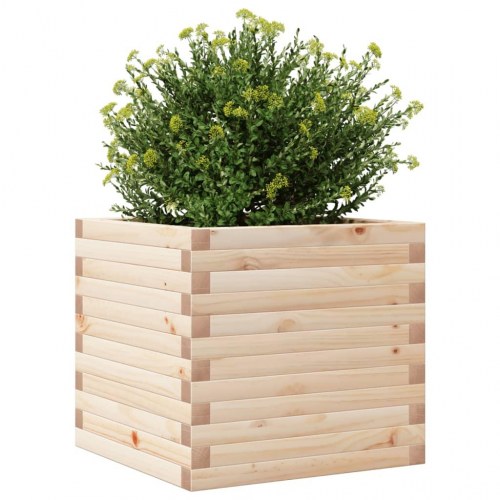 Plantekasse 50 × 50 × 45,5 cm - massivt fyrretræ