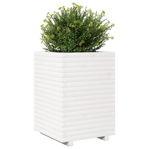Plantekasse i massivt fyrretræ 50 x 50 x 72 cm - hvid