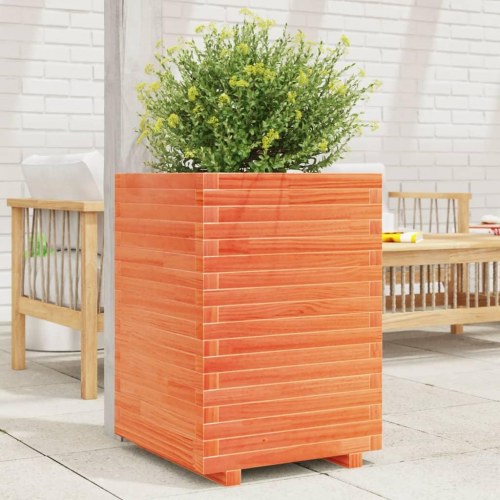 Plantekasse 50 x 50 x 72 cm i massivt fyrretræ - gyldenbrun