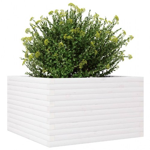 Plantekasse 80 x 80 x 46 cm i massivt fyrretræ - hvid