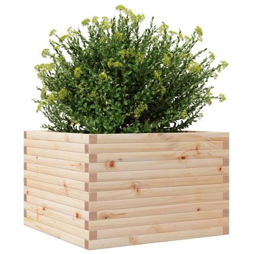 Plantekasse 70x70x46 cm massivt fyrretræ