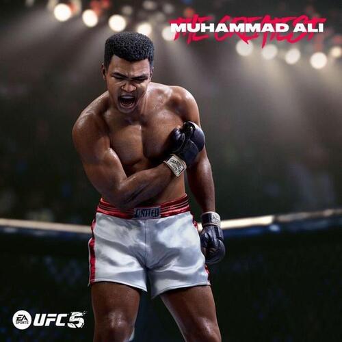 PlayStation 5 spil Electronic Arts UFC 5 2316 Dele