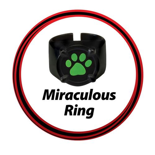 Kostume til børn Miraculous: Tales of Ladybug & Cat Noir Transformation Set - Cat Noir 4 Dele Sort Multifarvet