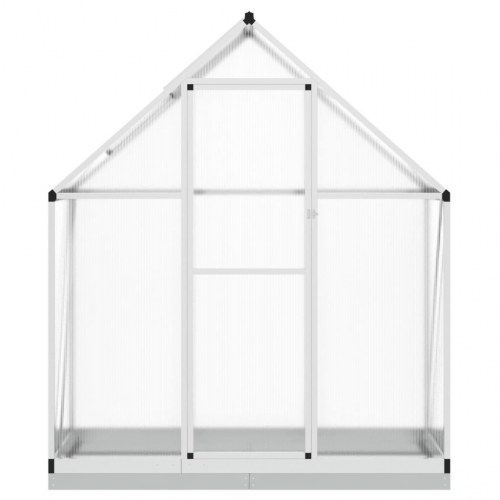 Drivhus med fundamentramme 169×58×202 cm - aluminium, sølvfarvet