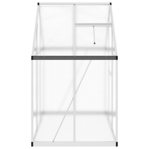 Drivhus med fundamentramme 169×114×195 cm - aluminium, sølvfarvet