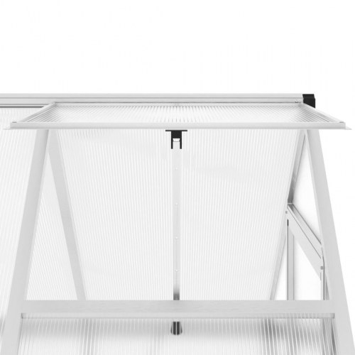Drivhus med fundamentramme 169×114×195 cm - aluminium, sølvfarvet