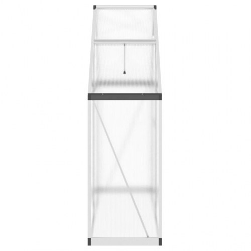 Drivhus med fundamentramme 169x58x195 cm aluminium sølvfarvet