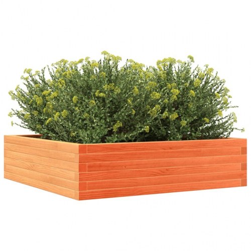 Plantekasse 90 x 90 x 23 cm i massivt fyrretræ - gyldenbrun