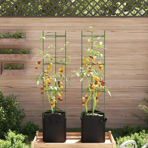 Plantestativer med planteposer 2 stk. 154 cm stål og PP