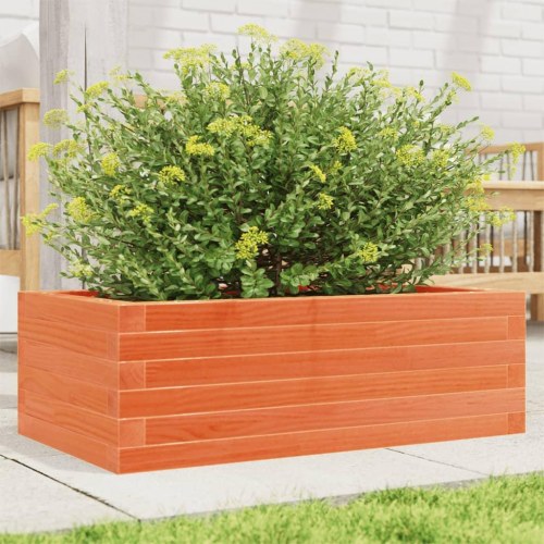 Plantekasse 70 x 40 x 23 cm i massivt fyrretræ - gyldenbrun