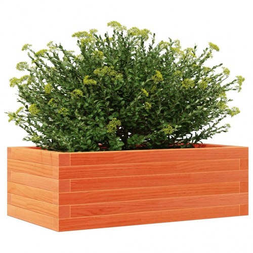 Plantekasse 70 x 40 x 23 cm i massivt fyrretræ - gyldenbrun