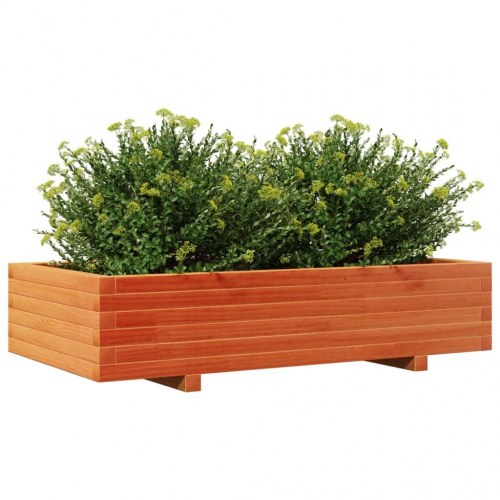 Plantekasse 110 x 60 x 26,5 cm i massivt fyrretræ - gyldenbrun