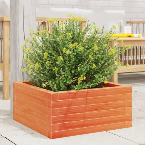 Plantekasse 60 x 60 x 23 cm i massivt fyrretræ - gyldenbrun