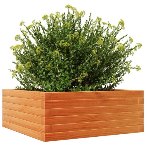 Plantekasse 60 x 60 x 23 cm i massivt fyrretræ - gyldenbrun
