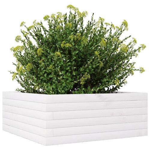 Plantekasse 60x60x23 cm massivt fyrretræ hvid