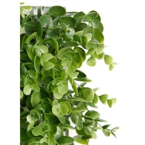 Ibergarden lodret have - kunstig plantevæg, plastik, 50 × 50 cm, grøn