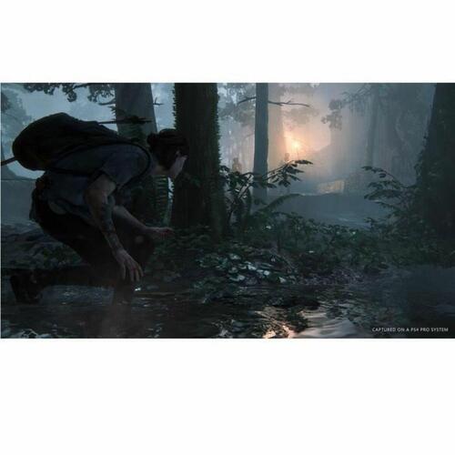 PlayStation 4 spil Naughty Dog The Last of Us: Part 2