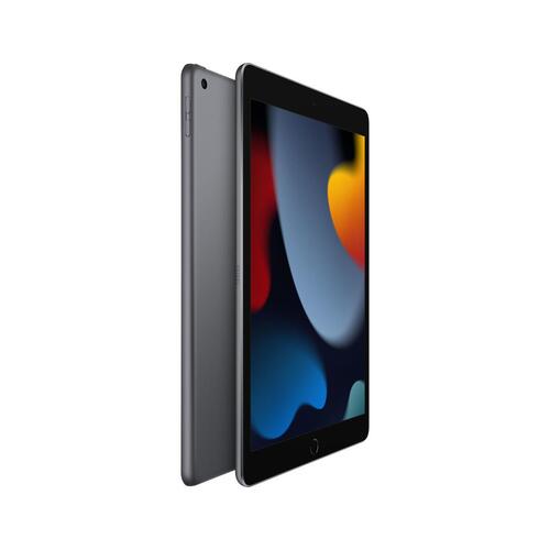 Tablet Apple iPad MK2N3FD/A 10,2" A13 256 GB Grå