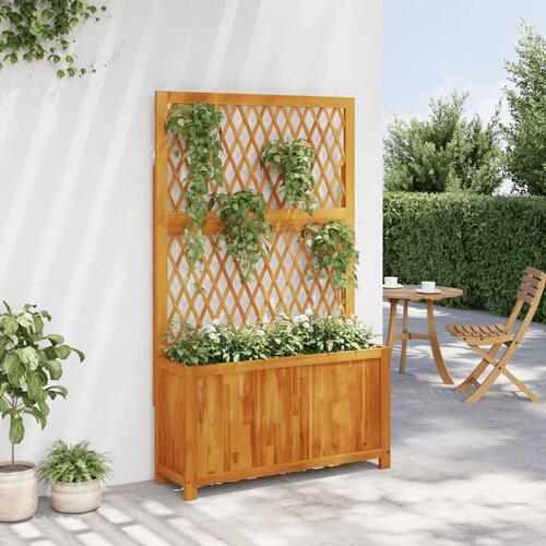 Plantekasse med espalier 100x32x165 cm massivt akacietræ