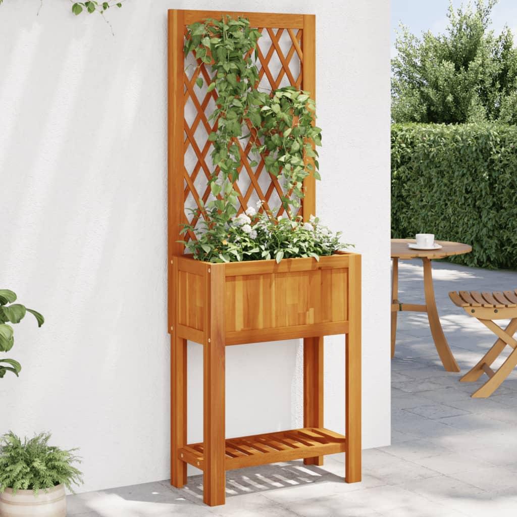 Plantekasse med espalier og hylde 55 × 29,5 × 152 cm - massivt akacietræ