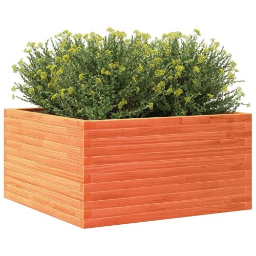 Plantekasse 90 x 90 x 46 cm i massivt fyrretræ - gyldenbrun
