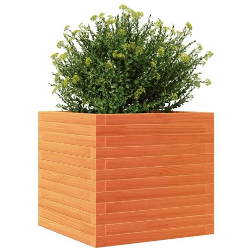 Plantekasse 50 x 50 x 46 cm i massivt fyrretræ - gyldenbrun