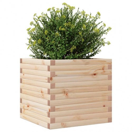 Plantekasse 50×50×46 cm i massivt fyrretræ - ubehandlet