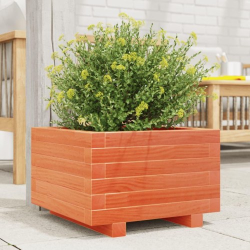Plantekasse i massivt fyrretræ 40 x 40 x 26,5 cm - gyldenbrun
