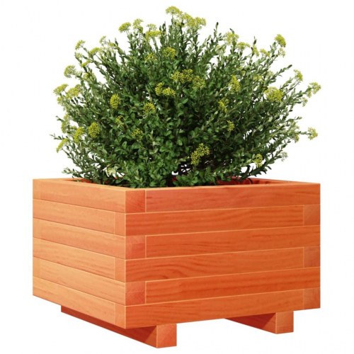 Plantekasse i massivt fyrretræ 40 x 40 x 26,5 cm - gyldenbrun