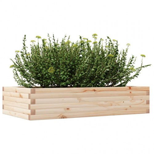 Plantekasse 110x60x23 cm massivt fyrretræ