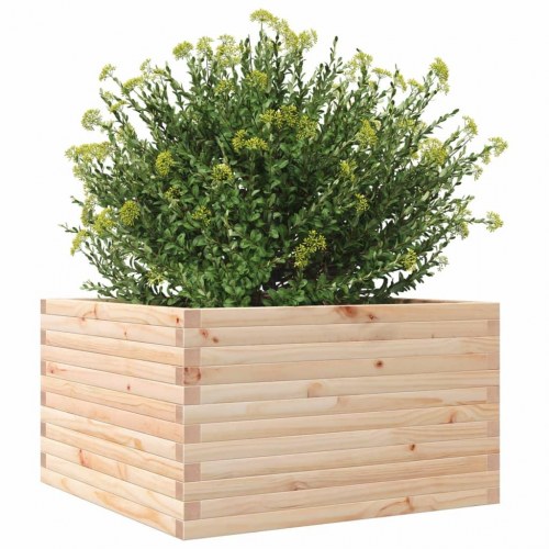 Plantekasse 80x80x45,5 cm massivt fyrretræ