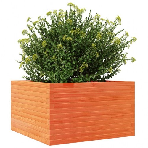Plantekasse 80 x 80 x 45,5 cm i massivt fyrretræ - gyldenbrun