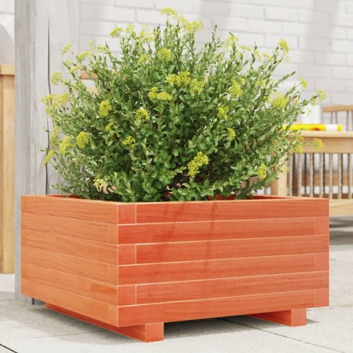 Plantekasse i massivt fyrretræ 50 x 50 x 26,5 cm - gyldenbrun
