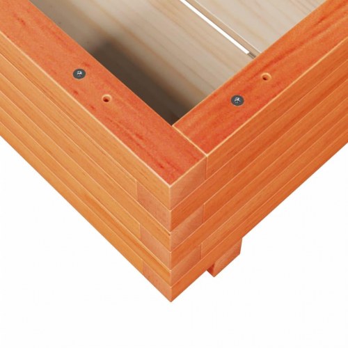 Plantekasse i massivt fyrretræ 50 x 50 x 26,5 cm - gyldenbrun
