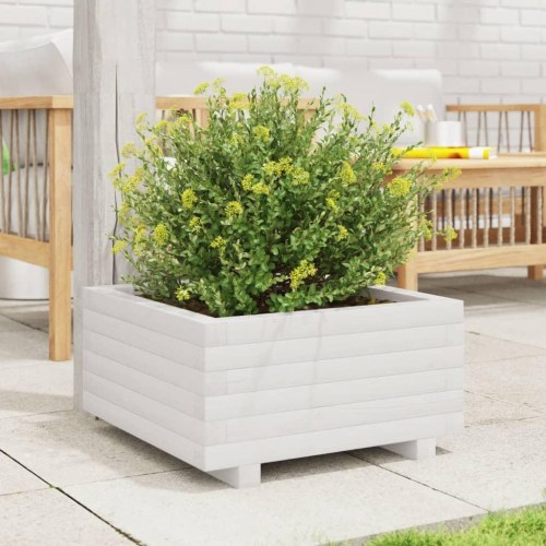 Plantekasse i massivt fyrretræ 50 x 50 x 26,5 cm - hvid