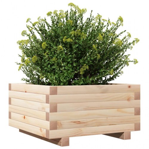 Plantekasse 50x50x26,5 cm massivt fyrretræ