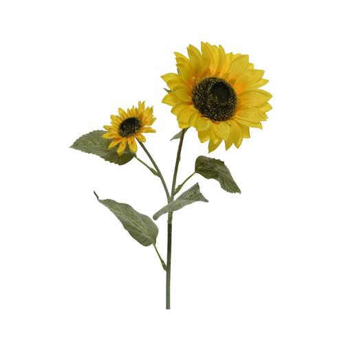 Buketter Everlands Solsikke 10 x 15 x 72 cm