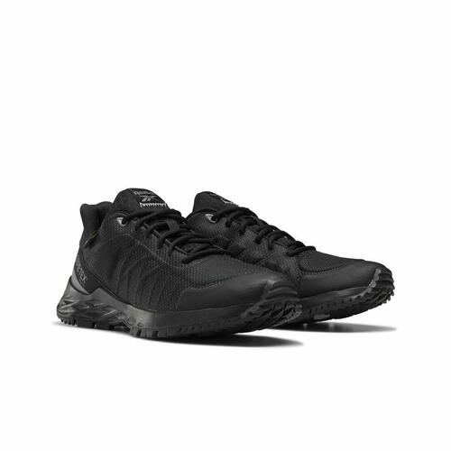 Løbesko til voksne Reebok Astroride Trail GTX 2.0 Sort 37