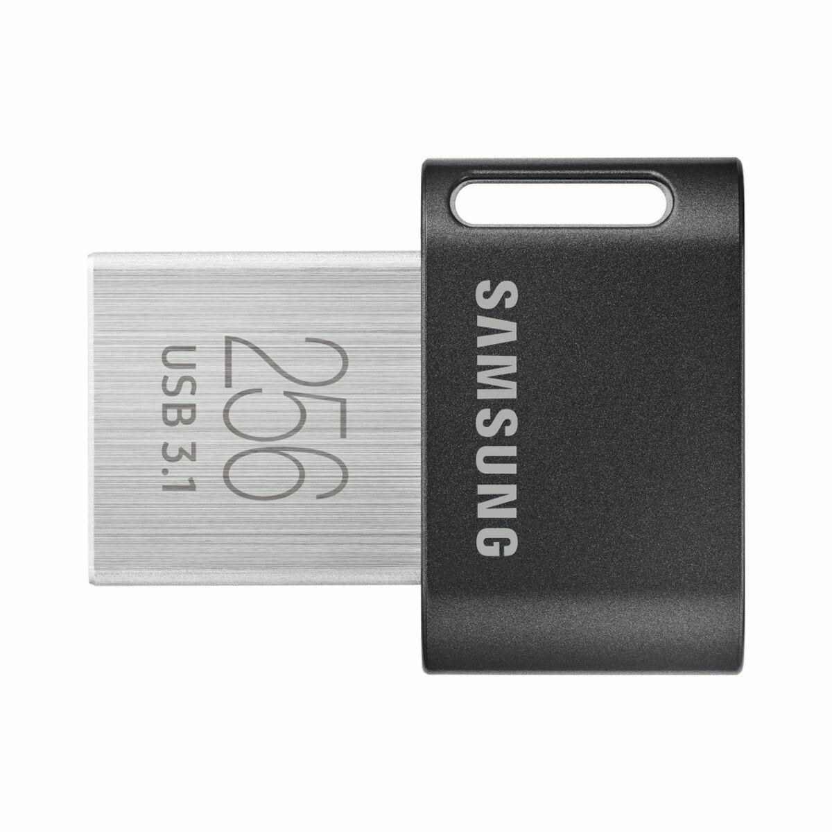 USB-stik Samsung MUF-256AB/APC Sølvfarvet 256 GB