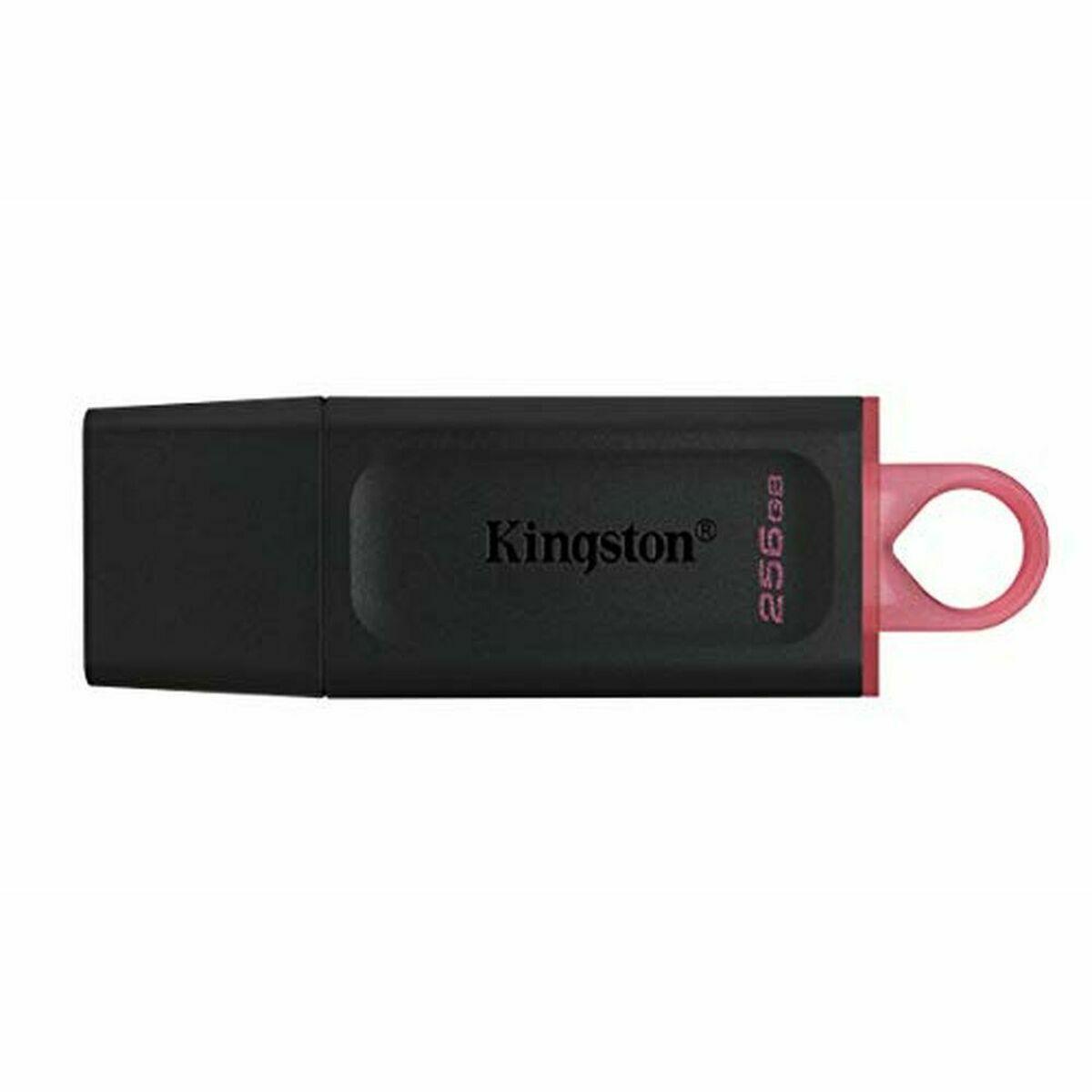 USB-stik Kingston Exodia Sort 256 GB