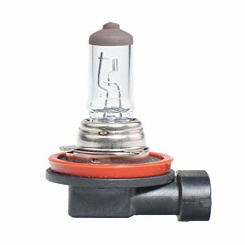 Halogen Pære M-Tech Z20 H8 12V 35W PGJ19-1